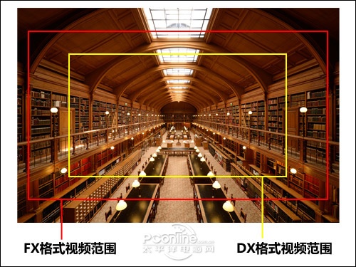 尼康D800多区域模式全高清D-Movie示意图